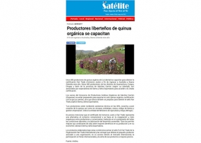 Productores liberteños de quinua orgánica se capacitan (Fuente: Satélite)