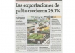 Las exportaciones de palta crecieron 29.7 % (Fuente: Perú21)